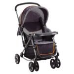 Stroller – Medium gift delivery in Pakistan