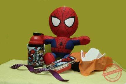 Spider Man for the Little Master gift by Kids Combos