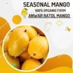 Anwar Ratol Mango fruit basket