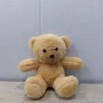 8 Inch Teddy Bear gift delivery in Pakistan
