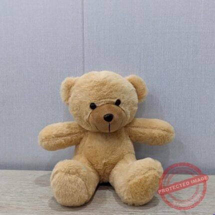 8 Inch Teddy Bear gift delivery in Pakistan