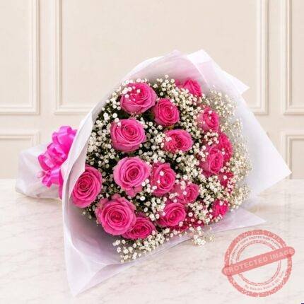 24 Local Pink Roses with Gypsophila gift delivery in Pakistan