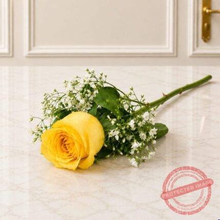 Imported Rose Long Stem 1 Yellow in Lahore