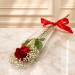1 Imported Red Rose Stem Cone with Gypsophila gift delivery in Pakistan