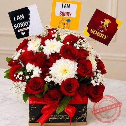 Special Sorry Gift gift delivery in Pakistan