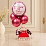 Gift Basket for Baby Girl by Kids Combos