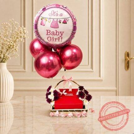 Gift Basket for Baby Girl by Kids Combos