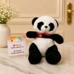 Panda gift delivery in Pakistan