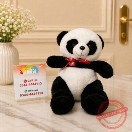 Panda gift delivery in Pakistan