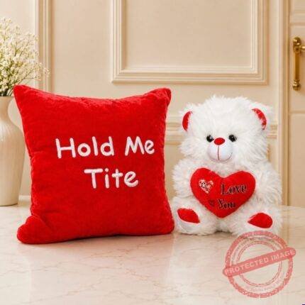 Hold Me Tight Cushion with Teddy gift delivery in Pakistan
