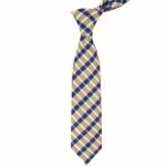 Golden Check Tie gift delivery in Pakistan
