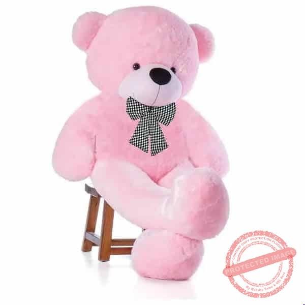 Long Teddy Long Teddy gift delivery in Pakistan